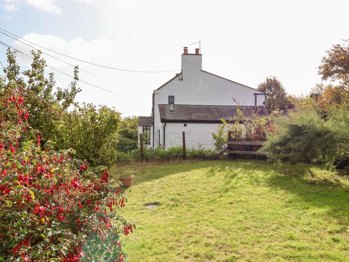 הוליוול 3 Penllan Cottages מראה חיצוני תמונה