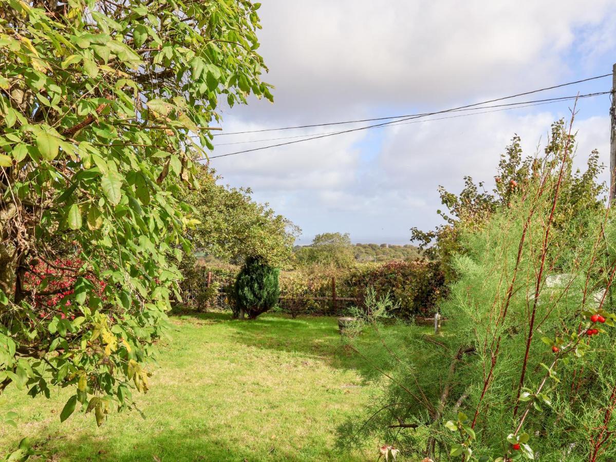 הוליוול 3 Penllan Cottages מראה חיצוני תמונה