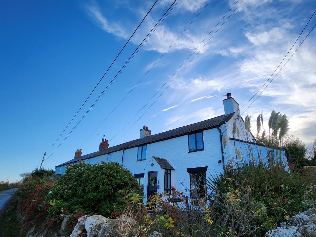 הוליוול 3 Penllan Cottages מראה חיצוני תמונה